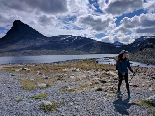 Carrie Watkins 3.3.jpg