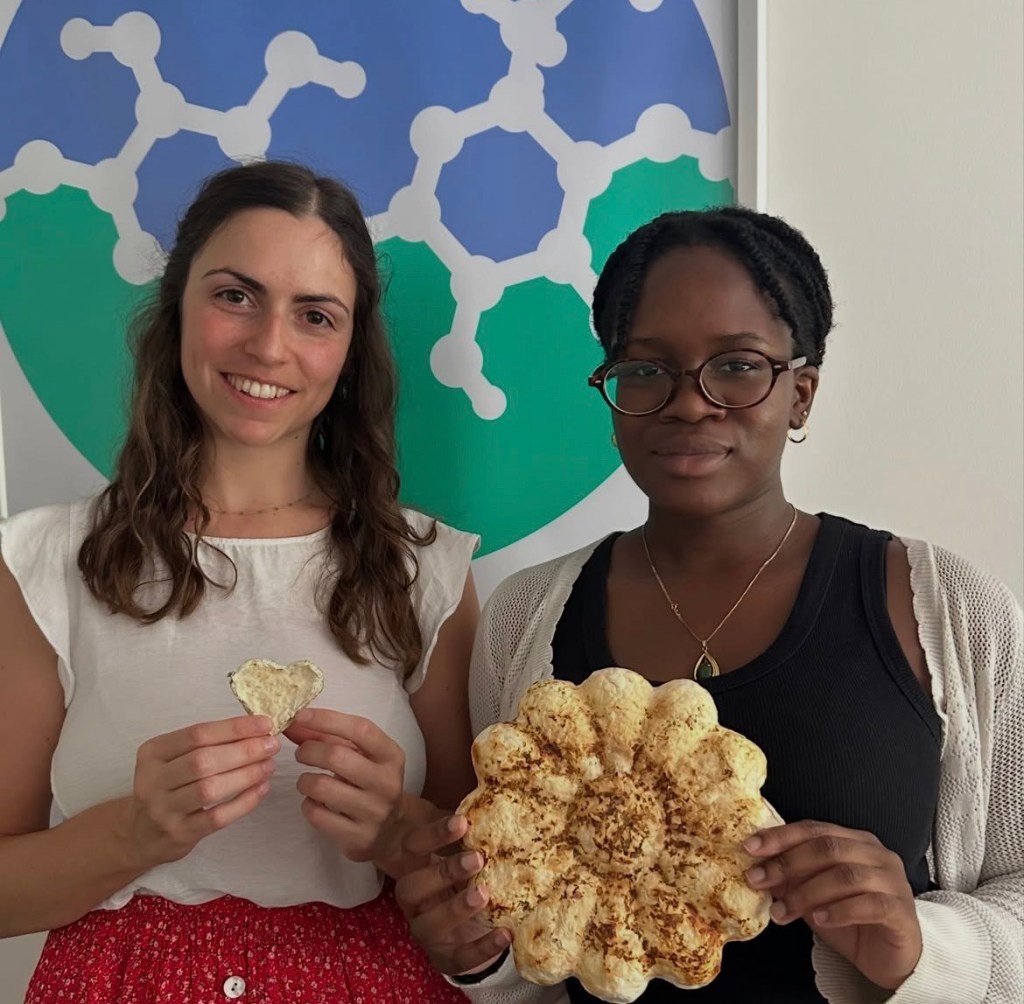 Protected: Mycelium-Based Materials for Sustainable Swiss&nbsp;Futures